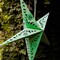 In the Breeze 9178 — Green Paper Star Lantern — Hanging Party and Home Décor with Painted Gold Accents — Handmade, Dyed Paper